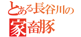 とある長谷川の家畜豚（）