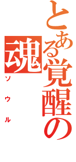 とある覚醒の魂（ソウル）