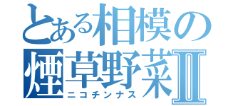 とある相模の煙草野菜Ⅱ（ニコチンナス）