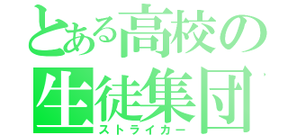 とある高校の生徒集団（ストライカー）