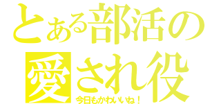 とある部活の愛され役（今日もかわいいね！）