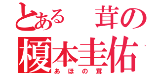 とある　茸の榎本圭佑（あほの茸）