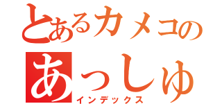 とあるカメコのあっしゅ（インデックス）