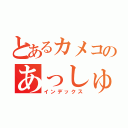 とあるカメコのあっしゅ（インデックス）