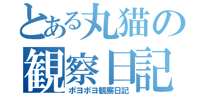 とある丸猫の観察日記（ポヨポヨ観察日記）