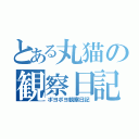 とある丸猫の観察日記（ポヨポヨ観察日記）