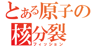 とある原子の核分裂（フィッション）