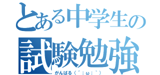 とある中学生の試験勉強（がんばる（´；ω；｀））