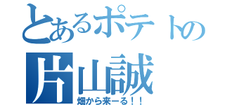 とあるポテトの片山誠（畑から来ーる！！）