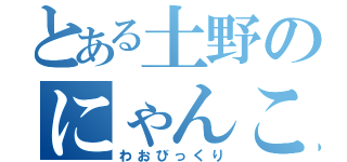 とある土野のにゃんこ攻略（わおびっくり）