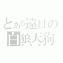 とある遠目の白狼天狗（犬走椛）