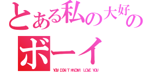 とある私の大好きなのボーイ（ＹＯＵ ＤＯＮ\'Ｔ ＫＮＯＷ Ｉ ＬＯＶＥ ＹＯＵ）