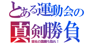 とある運動会の真剣勝負（栄光の旗勝ち取れ！）