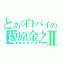 とある白バイの葛原金之助Ⅱ（葛原金之助）