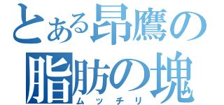 とある昂鷹の脂肪の塊（ムッチリ）