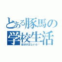 とある豚馬の学校生活（自分が正しいぶ〜）