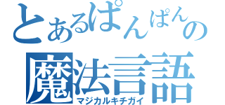 とあるぱんぱんの魔法言語（マジカルキチガイ）