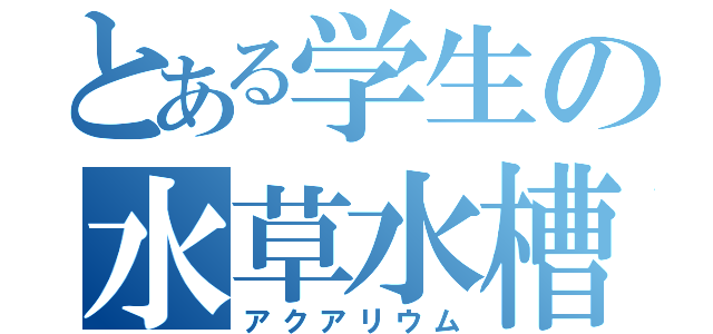 とある学生の水草水槽（アクアリウム）