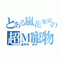 とある嵐花栗鼠の超Ｍ寵物（嵐乖乖 過來~）