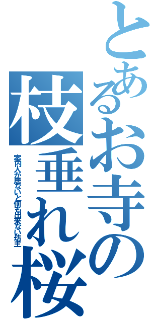 とあるお寺の枝垂れ桜🌸（案内人が居ないと何も出来ない坊主）