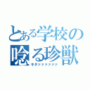 とある学校の唸る珍獣（キタァァァァァァ）