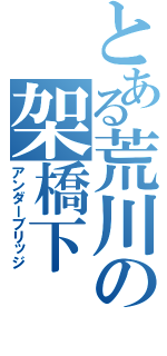 とある荒川の架橋下（アンダーブリッジ）