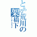 とある荒川の架橋下（アンダーブリッジ）