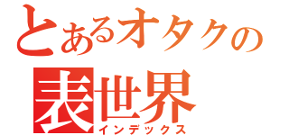 とあるオタクの表世界（インデックス）