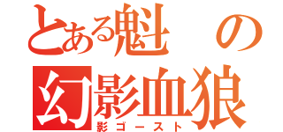 とある魁の幻影血狼（影ゴースト）