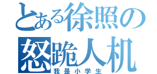 とある徐照の怒跪人机（我是小学生）