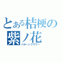 とある桔梗の紫ノ花（バルーンフラワー）