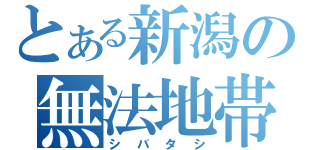 とある新潟の無法地帯（シバタシ）