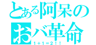 とある阿呆のおバ革命（１＋１＝２！！）