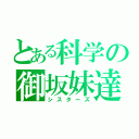 とある科学の御坂妹達（シスターズ）