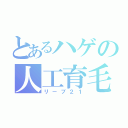 とあるハゲの人工育毛（リーブ２１）