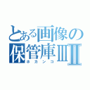 とある画像の保管庫ⅢⅡ（ホカンコ）