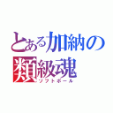 とある加納の類級魂（ソフトボール）