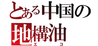 とある中国の地構油（エコ）