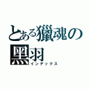 とある獵魂の黑羽（インデックス）