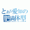 とある愛知の肥満体型（メタボリック）