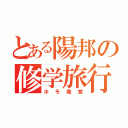 とある陽邦の修学旅行（ホモ発覚）