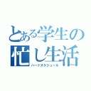 とある学生の忙し生活（ハードスケジュール）