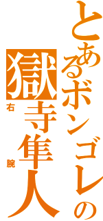 とあるボンゴレの獄寺隼人（右腕）