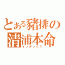 とある豬排の清浦本命（インデックス）