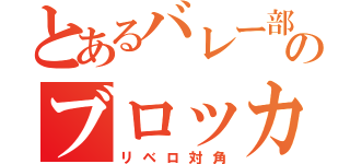 とあるバレー部のブロッカー（リベロ対角）