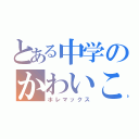 とある中学のかわいこちゃん♡（ホレマックス）