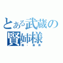 とある武蔵の賢姉様（葵・喜美）