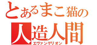 とあるまこ猫の人造人間（エヴァンゲリオン）