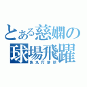 とある慈嫻の球場飛躍（魚丸打排球）