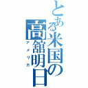 とある米国の高舘明日香（アメリカ）